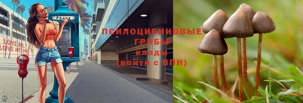 таблы Нефтегорск