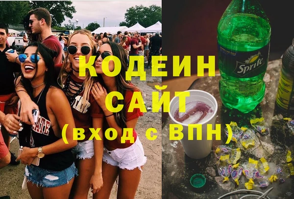гашик Алзамай