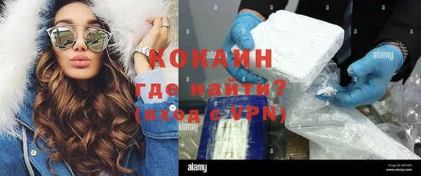 гашик Алзамай