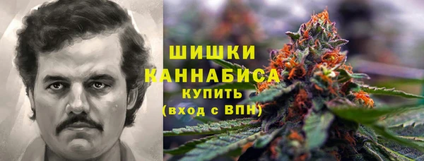 гашик Алзамай