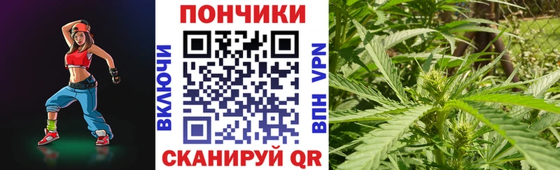 kraken вход  Щёлково  Бошки Шишки Bruce Banner  дарнет шоп 